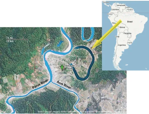 Figura 1 - Localização geográfica da Boca do Acre, Amazonas, Brasil. 