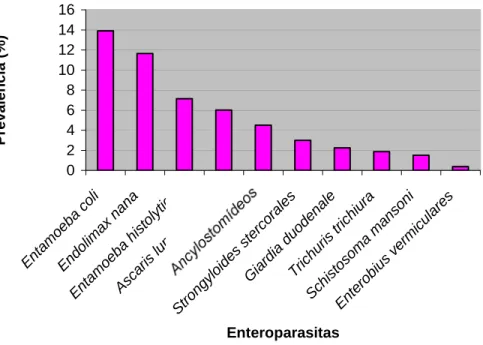 Figura 4 – Prevalência dos parasitas encontrados nos exames coproparasitológicos  dos moradores das propriedades rurais do município de Viçosa-MG, 2007