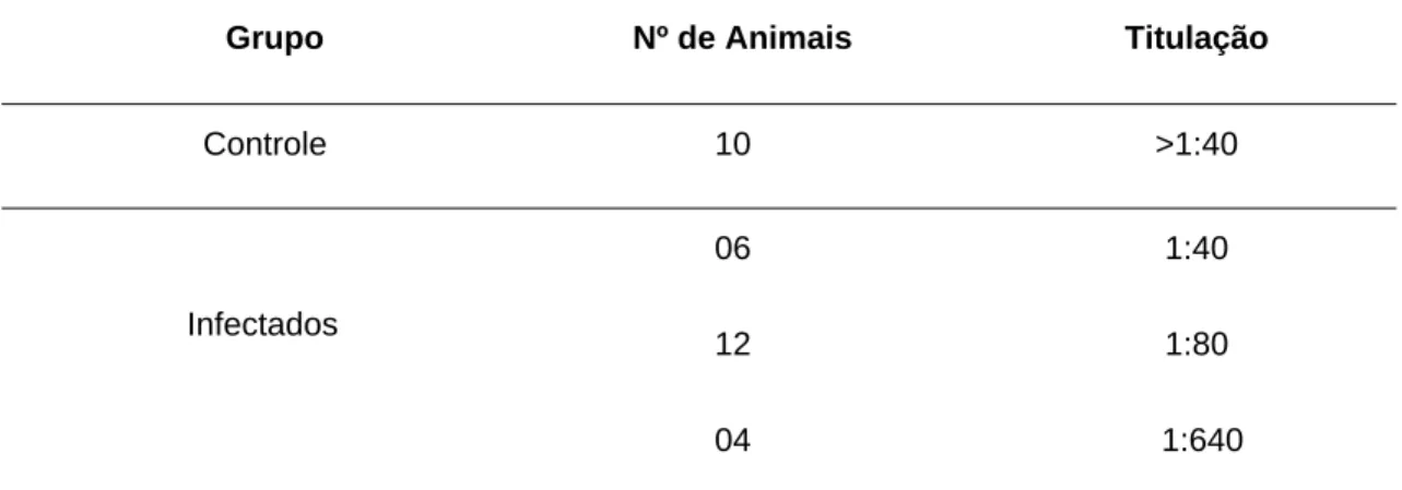 Tabela 1. Títulos *  de anticorpos (IgG) dos cães infectados naturalmente por 