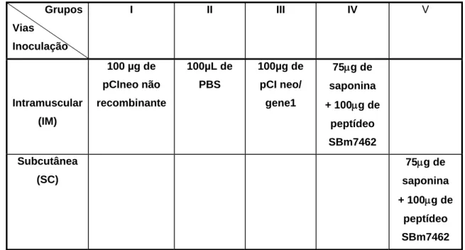 Tabela 2.  Esquema de inoculação nos camundongos. O volume final inoculado por animal para cada  grupo por via IM e SC foi de 100μL