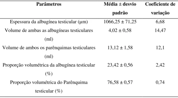 Tabela 2-Proporção volumétrica, espessura da albugínea testicular e volumes médios da  albugínea e parênquima testiculares de jaguatiricas adultas, mantidas em cativeiro
