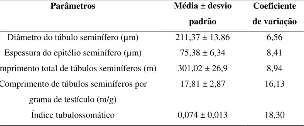 Tabela 4-Diâmetro, comprimento total e por grama de testículo de túbulo seminífero,  espessura do epitélio seminífero e índice tubulossomático em jaguatiricas adultas mantidas  em cativeiro