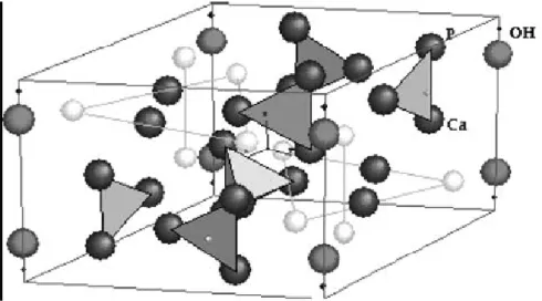 Figura 1. Estrutura de uma molécula de hidroxiapatita Ca 10-x (HPO 4 )x(PO 4 ) 6-x (OH) 2-x 