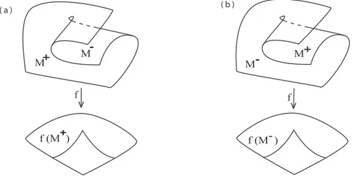 Figura 1.8: Sinal das regiões de uma superfície M