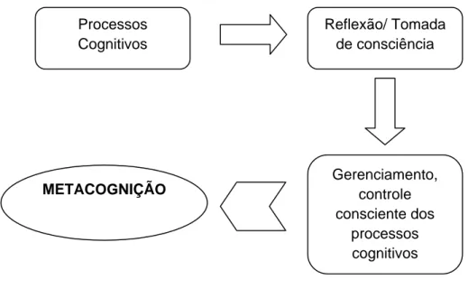 FIGURA 2: Ilustração do modelo de metacognição de Lawson (1984)  Adaptado de COUCEIRO FIGUEIRA, 2003