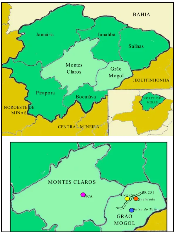 Figura 1: Mapa esquemático das localizações das 4 populações de S. adstringens  amostradas no Norte  de Minas Gerais 