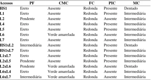 Tabela  4  – Descrição das características qualitativas de inflorescência em genitores e  híbridos interespecíficos de pimenteiras ornamentais