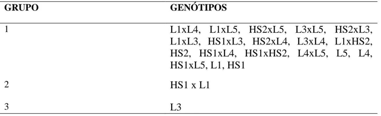 Tabela  8.  Agrupamento  de  genitores  e  híbridos,  de  acordo  com  28  características  conforme o método de Tocher