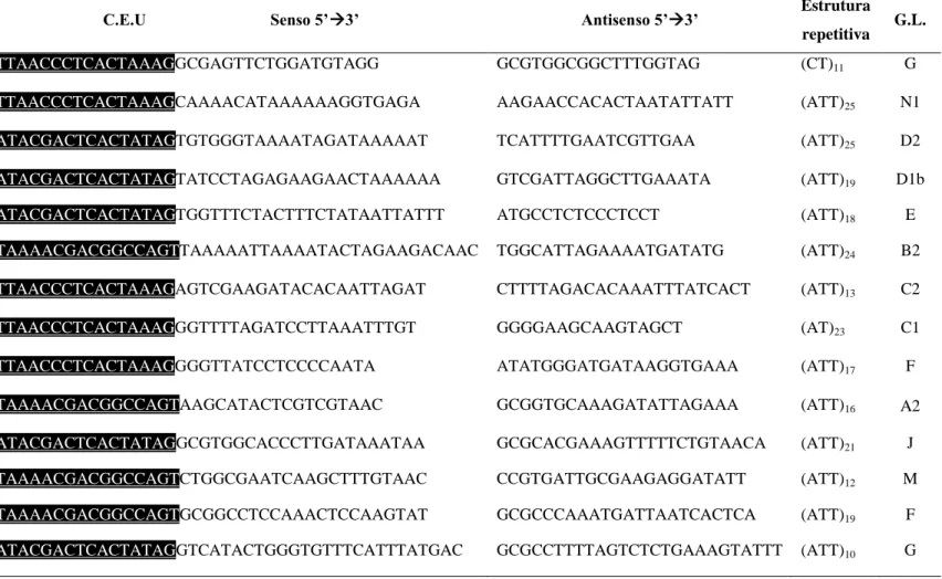 Tabela 1. Marcadores microssatelites selecionados para análise dos cultivares de soja,  sequência senso com cauda estendida universal (CEU) destacada em  preto, antisenso, estrutura repetitiva e grupo de ligação (G.L.)