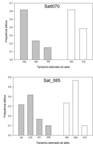 Figura 4. Tamanho estimado e frequência dos alelos detectados nos métodos: PCEU (cinza) e convencional (branco) em cada marcador