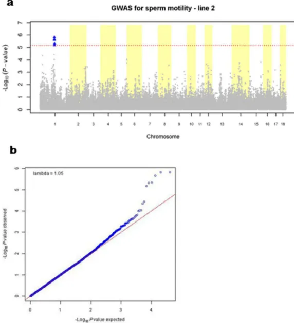Figure 1: Graphics for line 2. (a) Manhattan plot for association analysis of sperm motility
