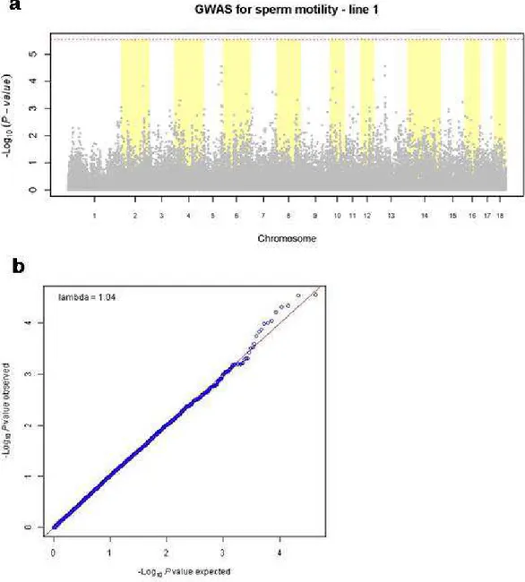 Figure 2: Graphics for line 1. (a) Manhattan plot for association analysis of sperm motility