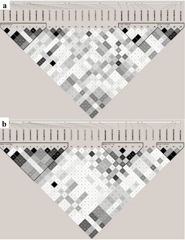 Figure 4:  LD plot for the region between 117,260,234 and 119,556,999 bp on SSC1, involving the 6  significant SNPs for line 2 and others
