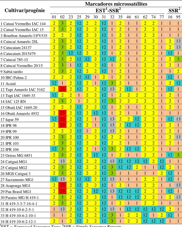 Tabela 3. Perfil molecular das cultivares/progênies obtidos pelo bulk dos dados dos  indivíduos das cultivares/progênies de café arábica