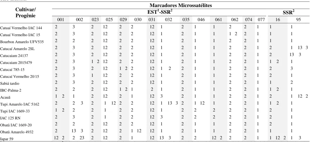 Tabela 4. Perfil molecular das cultivares/progênies obtidos através dos dados individuais dos genótipos que constituem as cultivares/progênies de  café arábica