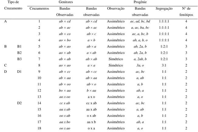 Tabela 1 - Configuração genética dos locos marcadores, segundo o tipo de cruzamento,  e  os  respectivos  padrões  de  bandas  observadas  (alelos)  nos  genitores  e  nas  progênies  oriundas de cruzamentos entre genitores não-endogâmicos