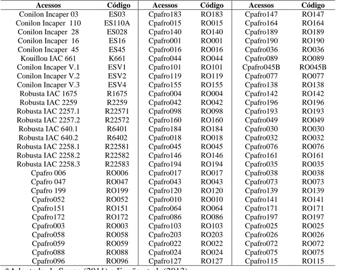 Tabela 1. Acessos de C. canephora mantidos no Banco de Germoplasma da Embrapa  Rondônia* 