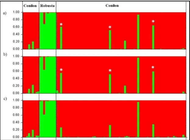 Figura  3.  Gráfico  de  barras  do  software  STRUCTURE  utilizado  para  estudo  de  diversidade na  espécie  C