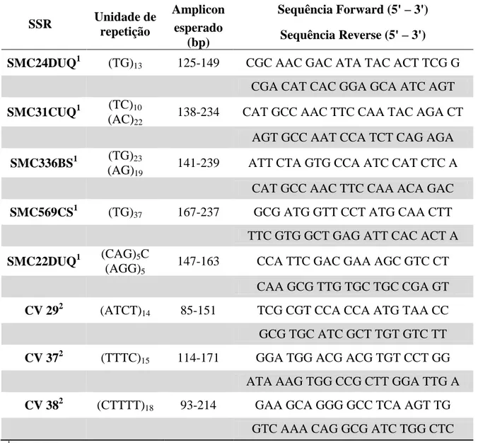 Tabela 1  – Marcadores microssatélites selecionados em cana-de-açúcar: nome, unidade  repetitiva, tamanho do amplicon e sequências