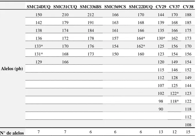 Tabela  2  –  Caracterização  do  conjunto  de  alelos  gerados  pelos  oito  locos  de  microssatélites amplificados em oito genótipos de cana-de-açúcar