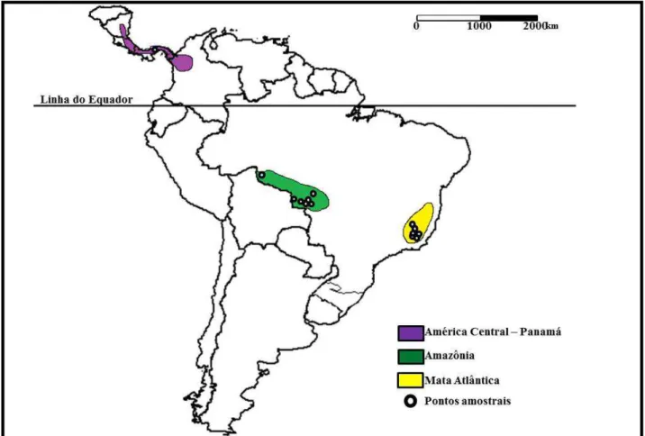 Figura 1: Distribuição geográfica aproximada dos indivíduos amostrados (nomes e coordenadas de  cada indivíduo estão disponíveis na Tabela 1) e das três grandes regiões disjuntas de ocorrência de  Carapichea ipecacunha  representadas pelas diferentes cores