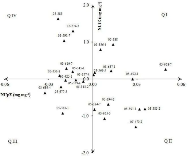 Figure 1 Genotypic values for nitrogen uptake  efficiency  (NUpE) and nitrogen utilization efficiency (NUtE) obtained from 25 popcorn inbred lines 