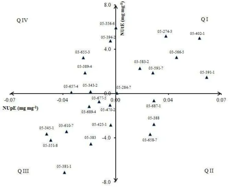 Figure 2 Genotypic values for nitrogen uptake  efficiency  (NUpE) and nitrogen utilization efficiency (NUtE) obtained from 25 popcorn inbred lines 