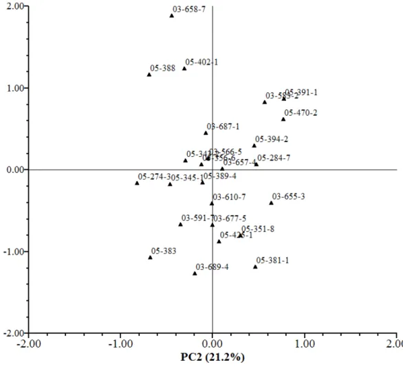Figure 3 Principal component analysis of traits related to NUE evaluated in 25 popcorn inbred lines under high N