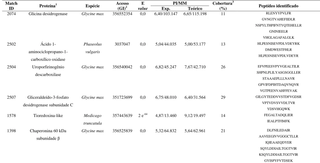 Tabela  1.  Proteínas  diferencialmente  expressas  nas  folhas  do  genótipo  AND  277  de  feijoeiro  comum  em  resposta  à  inoculação  de  Pseudocercospora griseola