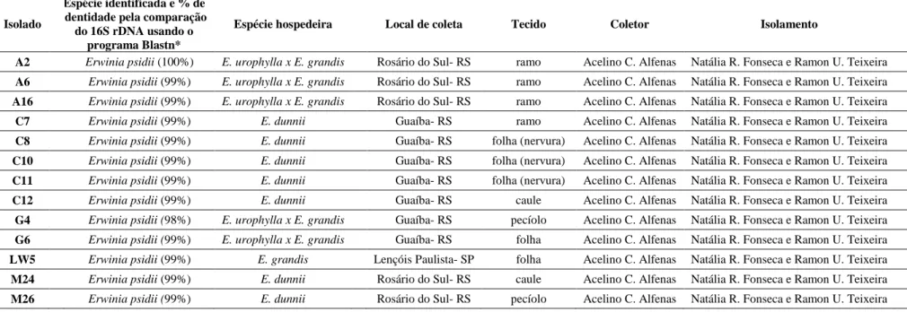 Tabela 2. Identificação preliminar dos isolados bacterianos estudados neste trabalho a partir da comparação da sequência do gene 16S rDNA  com sequências depositadas no GenBank e informações acerca da coleta, hospedeiro, local e coletor