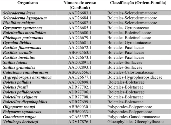 Tabela 1. Fungos Basidiomicetos utilizados na análise filogenética das sequências de 