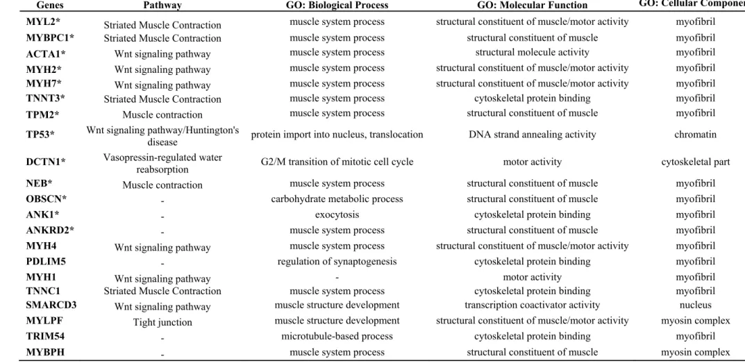 Table 2. Pathway, biological process, molecular function and cellular component from genes represented in the network