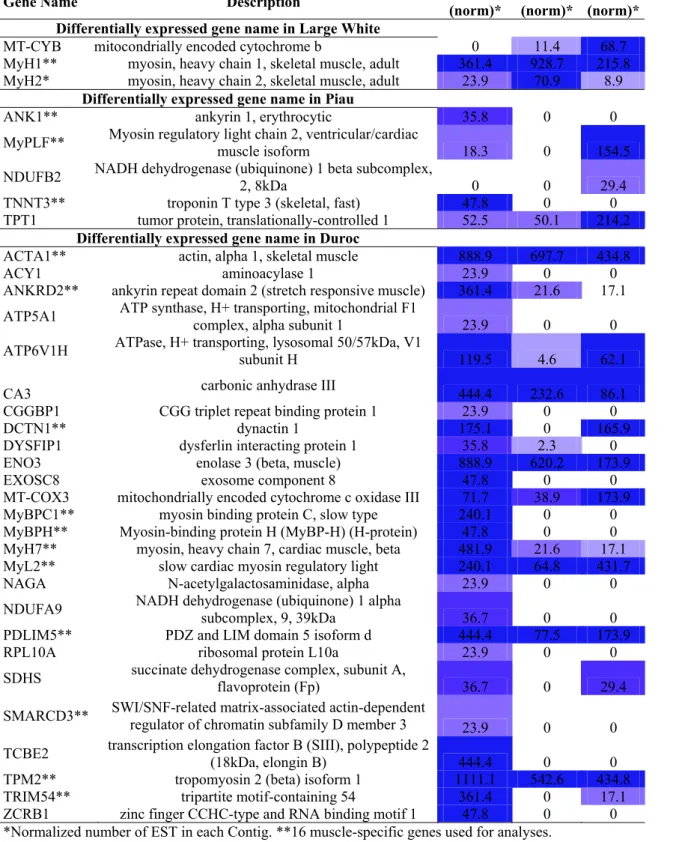 Table S2. Genes whose transcripts varied significantly depending on the abundance of ESTs in  the libraries of three cDNA pig Semi-membransous  muscle