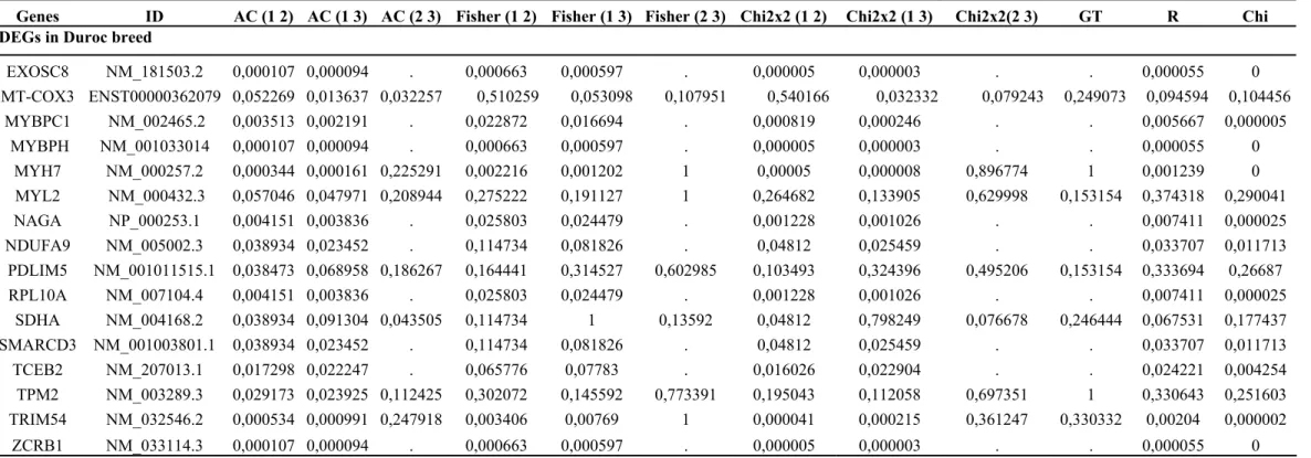 Table S3. 36 genes showing differential expression. The results are shown for the three libraries (Duroc, Large White and Piau) and considering six different  statistical tests with the p-values