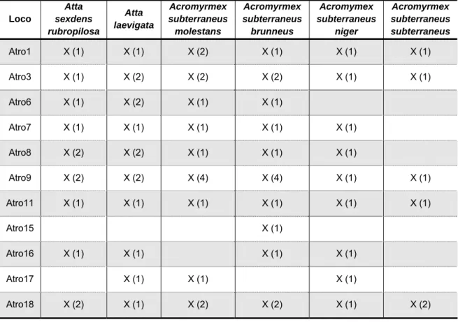 Tabela 2:  Resultado da amplificação cruzada com os onze  primers