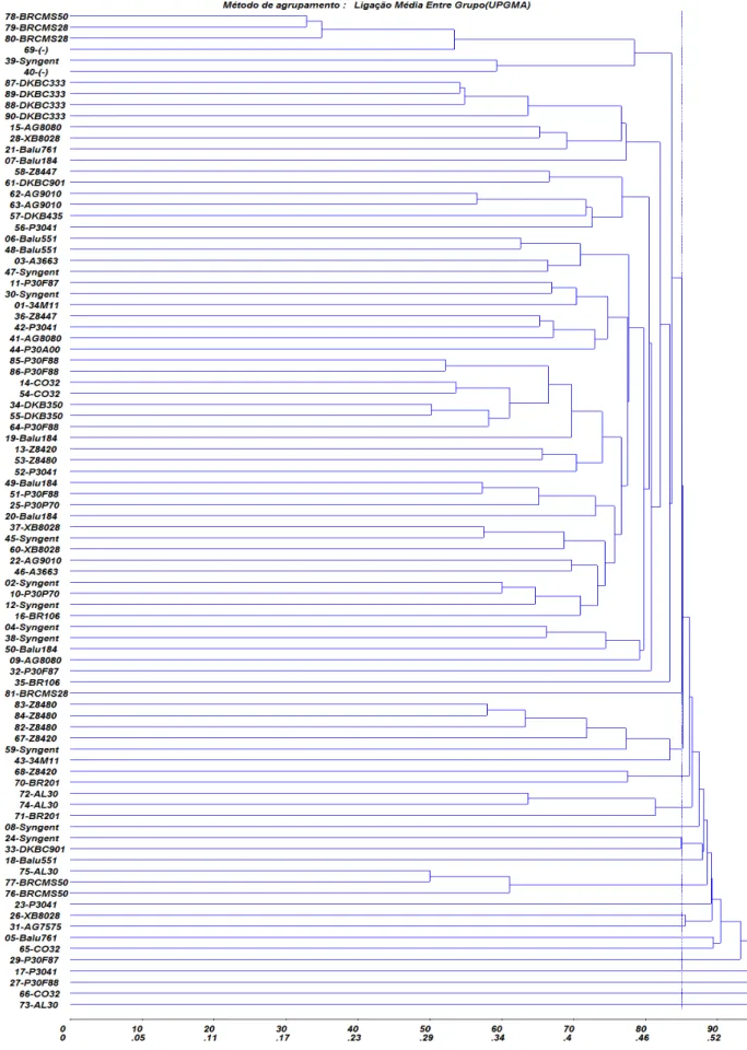 Figura  3.  Dendrograma  obtido  pelo  método  hierárquico  UPGMA,  a  partir  das  medidas  de  dissimilaridades  genéticas  de  90  linhagens  de  milho,  estimada  com  base  em  81  locos  SSR  (Número da linhagem - origem)