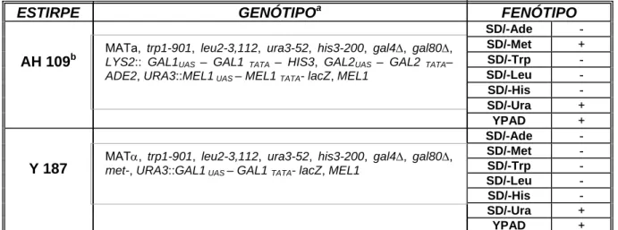 Tabela 2. Genótipos e fenótipos das estirpes de levedura AH109 e Y187 utilizadas  nos ensaios de duplo híbrido em leveduras
