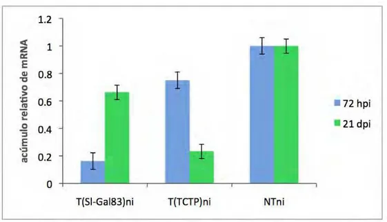 Figura 11. Expressão relativa normalizada dos mRNAs de Sl-Gal83 e TCTP nas plantas  transformadas silenciadas propagadas vegetativamente inoculadas com tampão de  inoculação
