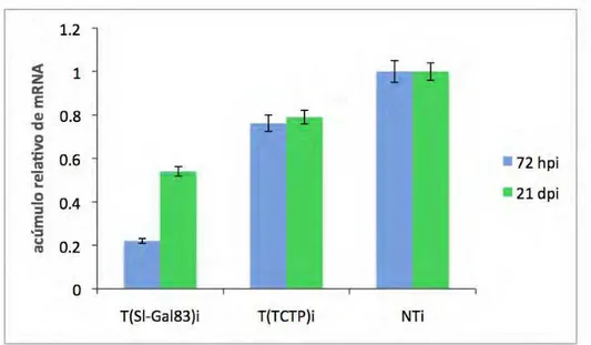 Figura 12. Expressão relativa normalizada dos mRNAs de SL-Gal83 e TCTP nas plantas  transformadas com alterações fenotípicas propagadas vegetativamente inoculadas com  o PepYMV