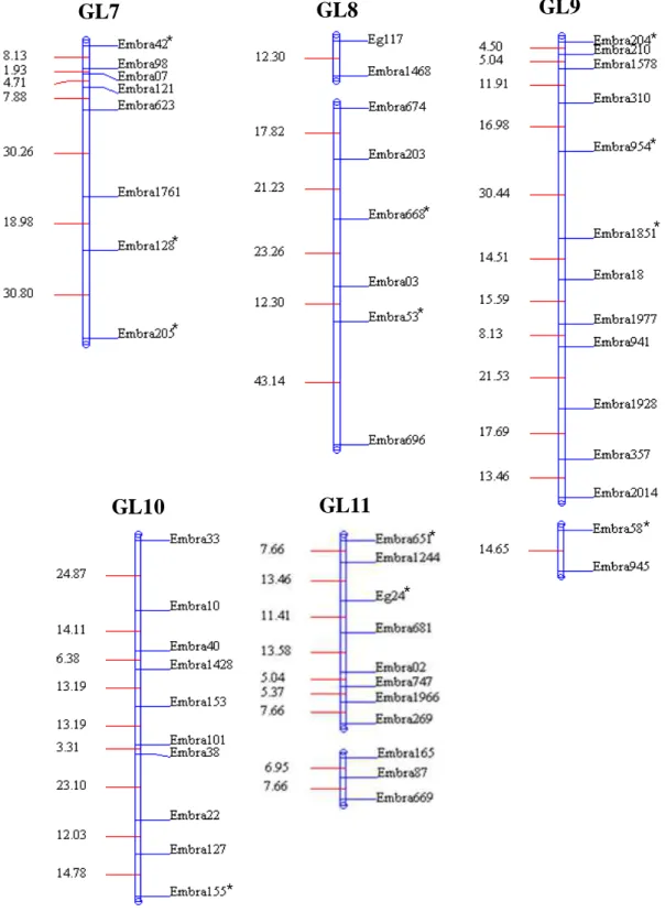 Figura 2 (Cont.).  Mapa integrado com 110 marcadores moleculares  microssatélites na família DGxUGL, obtida a partir do  cruzamento interespecífico entre [E