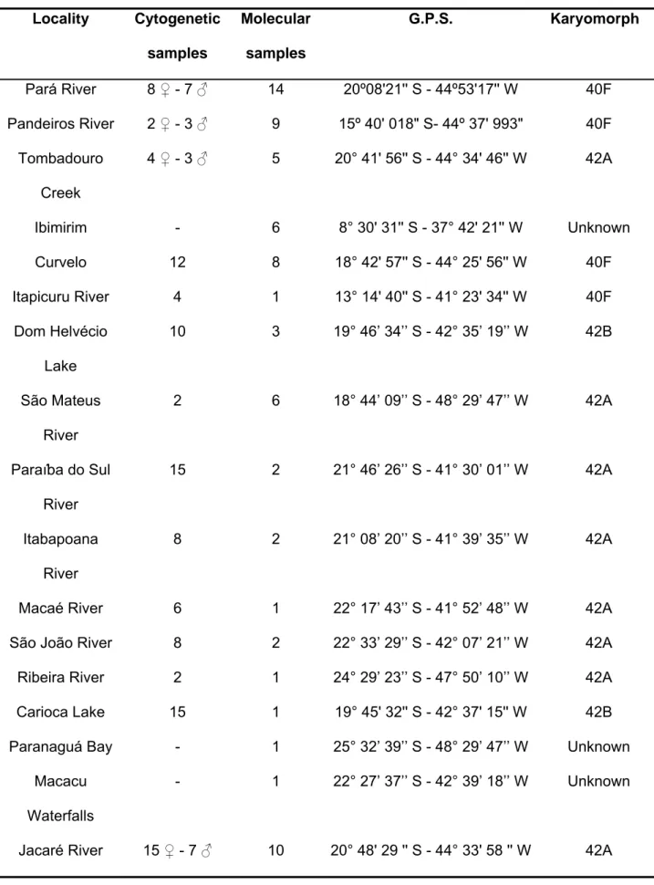 Table I. Collecting localities; sample sizes, geographic coordinates, and karyomorph.  Locality Cytogenetic  samples  Molecular samples  G.P.S