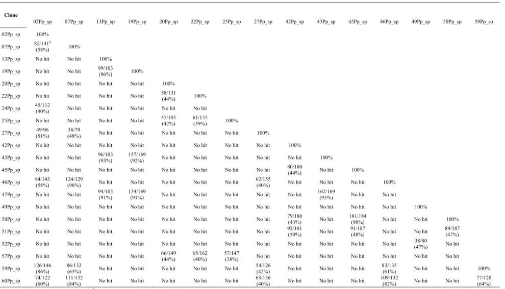 Tabela 2 – Similaridade das seqüências de aminoácidos das ORFs preditas evidenciadas pelo programa BlastP