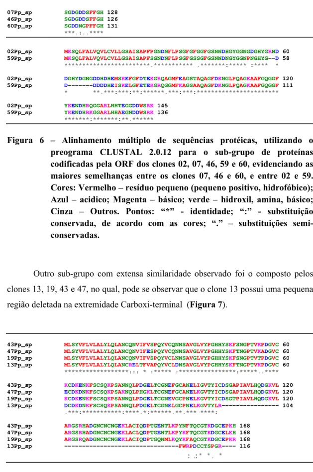 Figura 7 – Alinhamento múltiplo de sequências protéicas, utilizando o programa  CLUSTAL 2.0.12 para o sub-grupo de clones 13, 19, 43 e 47