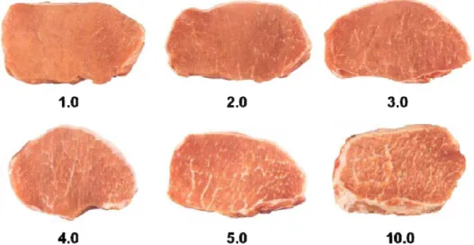 Figure  . .  – Marbling pattern from the National Pork Producers Council  NPPC . Scores represent  the percentage of intramuscular fat. Source: AMSA  .  