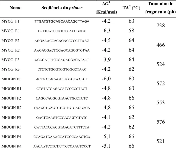 Tabela 1: Primers utilizados para amplificar o gene da Miogenina em suínos. 