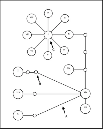 Figura 3 - Exemplo demonstrativo de uma rede de 15 haplótipos gerada pelo “software”  TCS (Versão 1.13) de dados de seqüência de mtDNA de Lagarto (Lacerta shreiberi)
