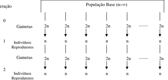 Figura 1- População idealizada .  