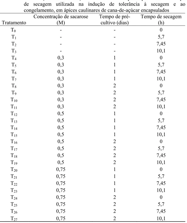 Tabela 1. Combinação da concentração de sacarose X tempo de pré-cultivo X tempo  de secagem utilizada na indução de tolerância à secagem e ao  congelamento, em ápices caulinares de cana-de-açúcar encapsulados 