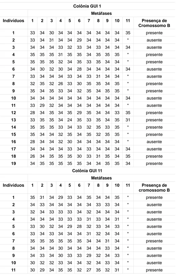 Tabela 1: Contagem de cromossomos metafásicos de indivíduos de P. cupira das colônias GUI 1 e GUI 11  Colônia GUI 1  Metáfases  Indivíduos 1 2 3 4 5 6 7 8 9 10 11  Presença  de  Cromossomo B  1  33 34 30 34 34 34 34 34 34 34  35  presente  2  33 34 31 34 3