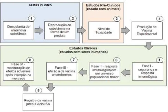 Figura 1. Fluxo de Pesquisa &amp; Desenvolvimento de uma vacina